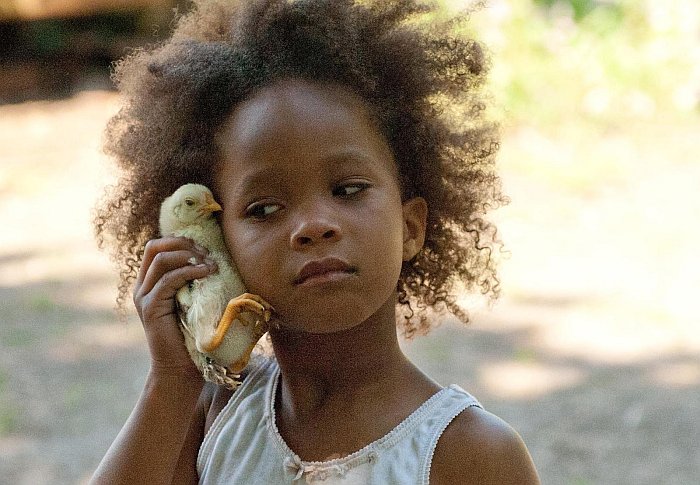 Beast of the southern wild